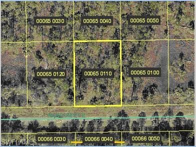 1241 Random ST E LEHIGH ACRES, FL 33974