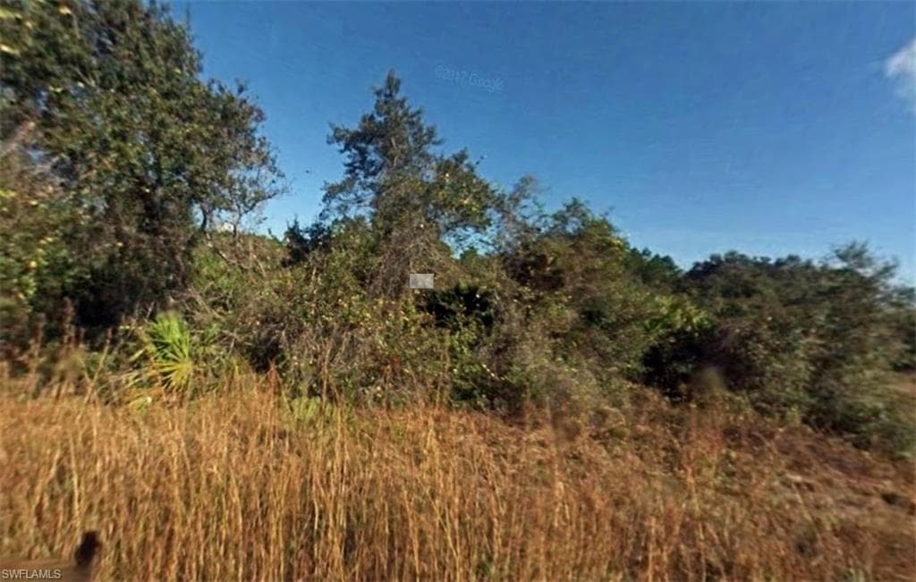 4239 E 29th ST ALVA, FL 33920