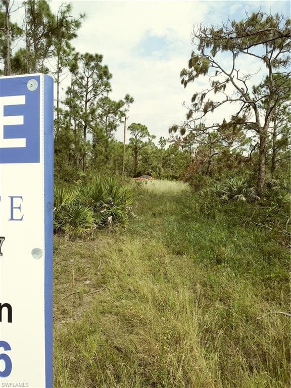 2862 Meadow RD LEHIGH ACRES, FL 33974