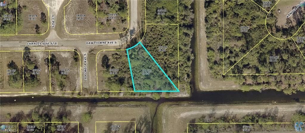 862 Charles Sise ST E LEHIGH ACRES, FL 33974
