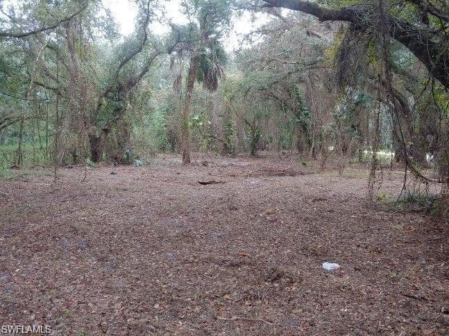 2351 Bee Branch Lakes DR LABELLE, FL 33975