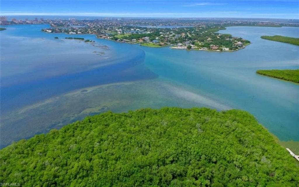 1297 Blue Hill Creek DR MARCO ISLAND, FL 34145