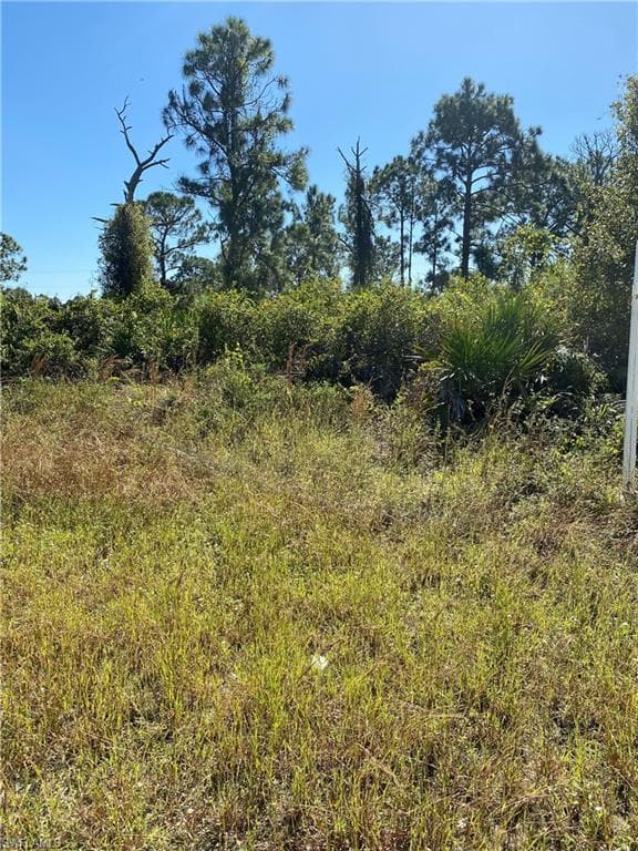 1146 Earhart ST E LEHIGH ACRES, FL 33974