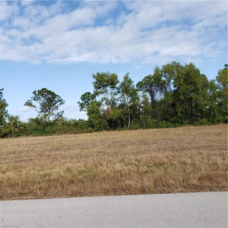 2319 NE 43rd LN CAPE CORAL, FL 33909