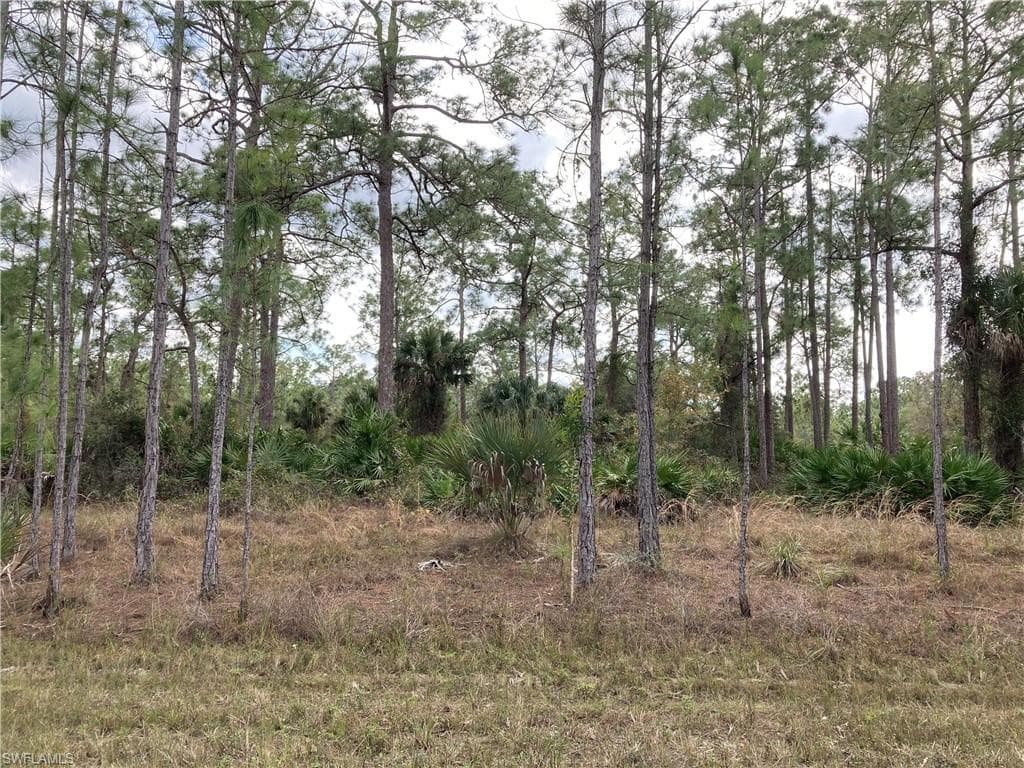 311 Spokane AVE LEHIGH ACRES, FL 33972