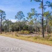 2117 Johns AVE ALVA, FL 33920