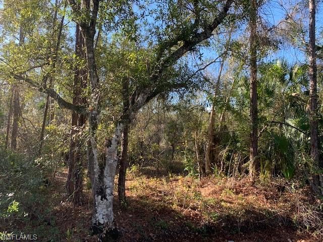 E Lincoln AVE LABELLE, FL 33935
