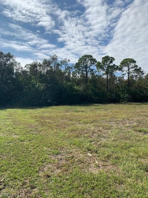 2522 Ceitus PKY CAPE CORAL, FL 33991