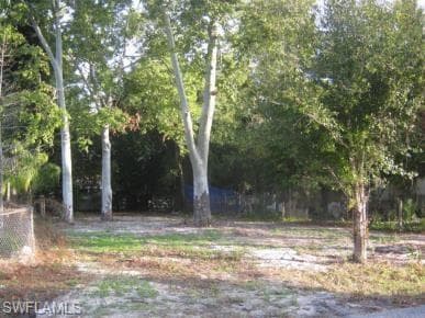 338 Capitol ST NORTH FORT MYERS, FL 33903