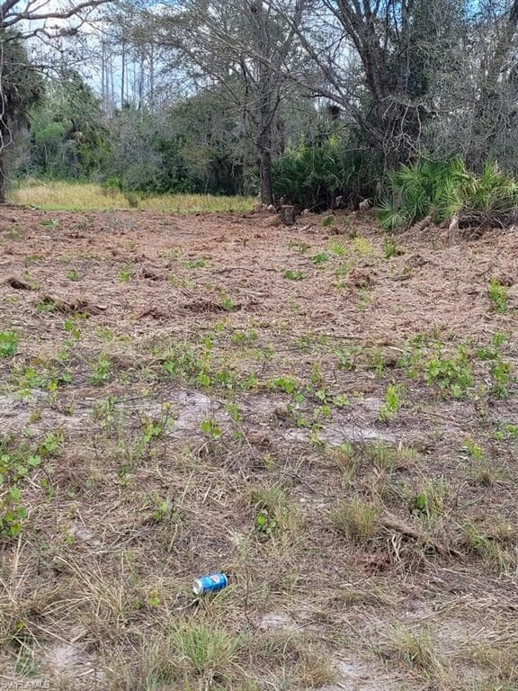 722 Ledge ST LEHIGH ACRES, FL 33972