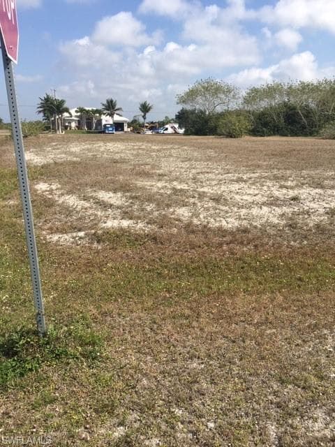 4231 NW 12th LN CAPE CORAL, FL 33993
