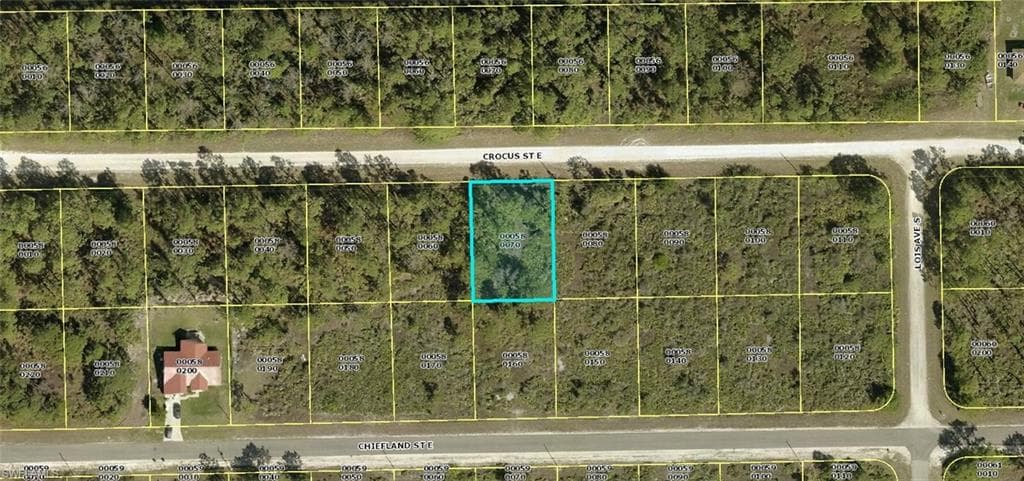 1120 Crocus ST E LEHIGH ACRES, FL 33974