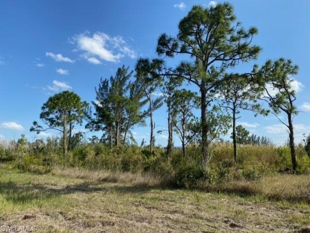 5301 Doug Taylor CIR OTHER, FL 33956