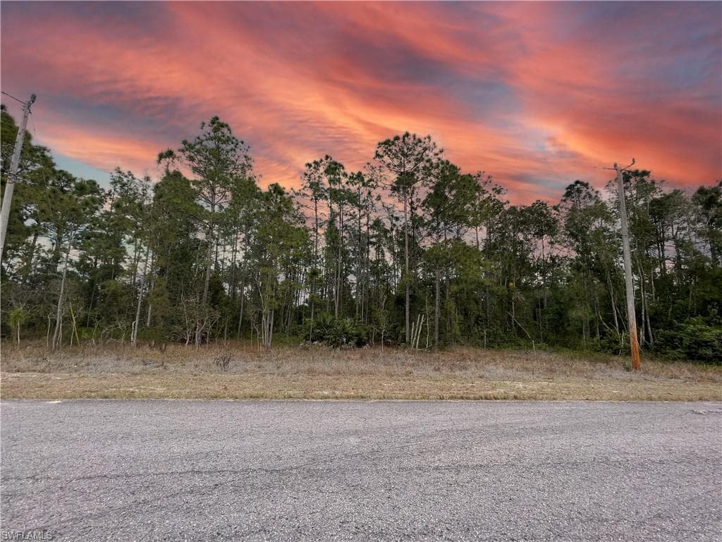 807 Glen COY AVE LEHIGH ACRES, FL 33974
