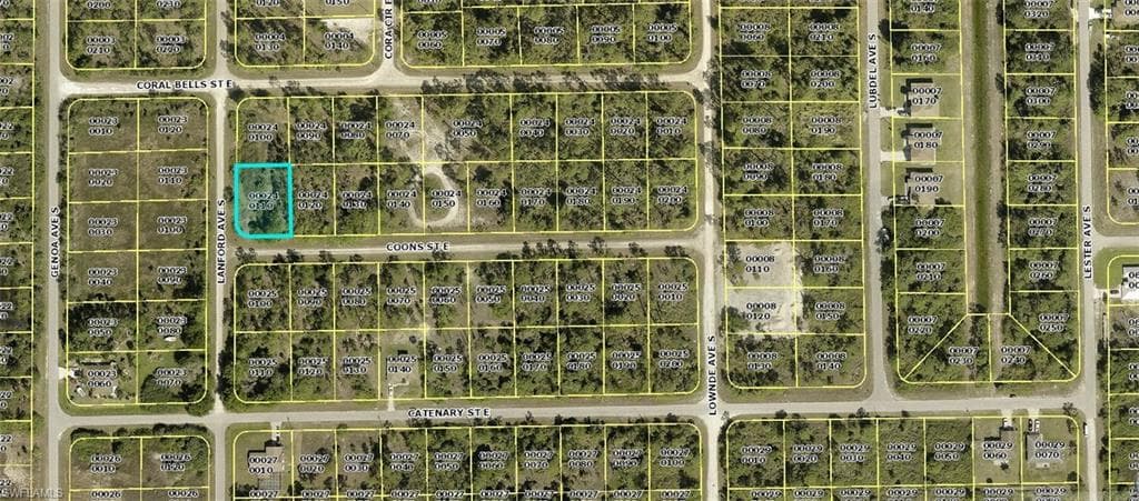 1115 Coons ST E LEHIGH ACRES, FL 33974