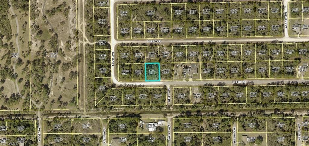 4191 E 24th ST ALVA, FL 33920