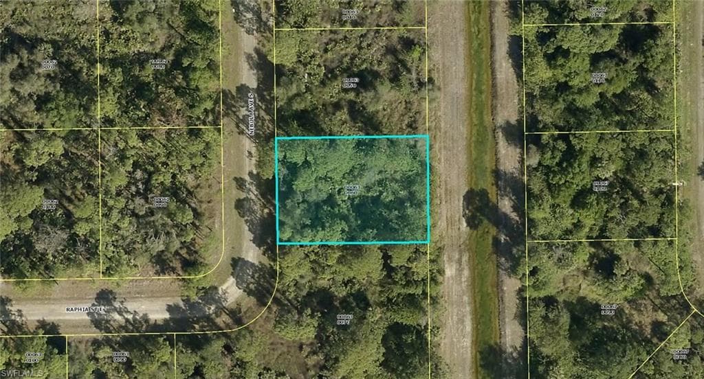 217 Nebula AVE S LEHIGH ACRES, FL 33974