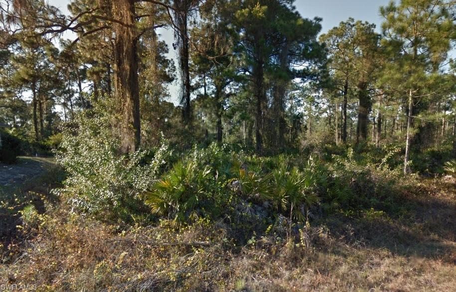 312 Mangonia AVE LEHIGH ACRES, FL 33974