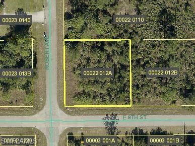 2501 E 9th ST LEHIGH ACRES, FL 33936