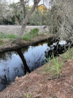 27061 Riverside DR S BONITA SPRINGS, FL 34135