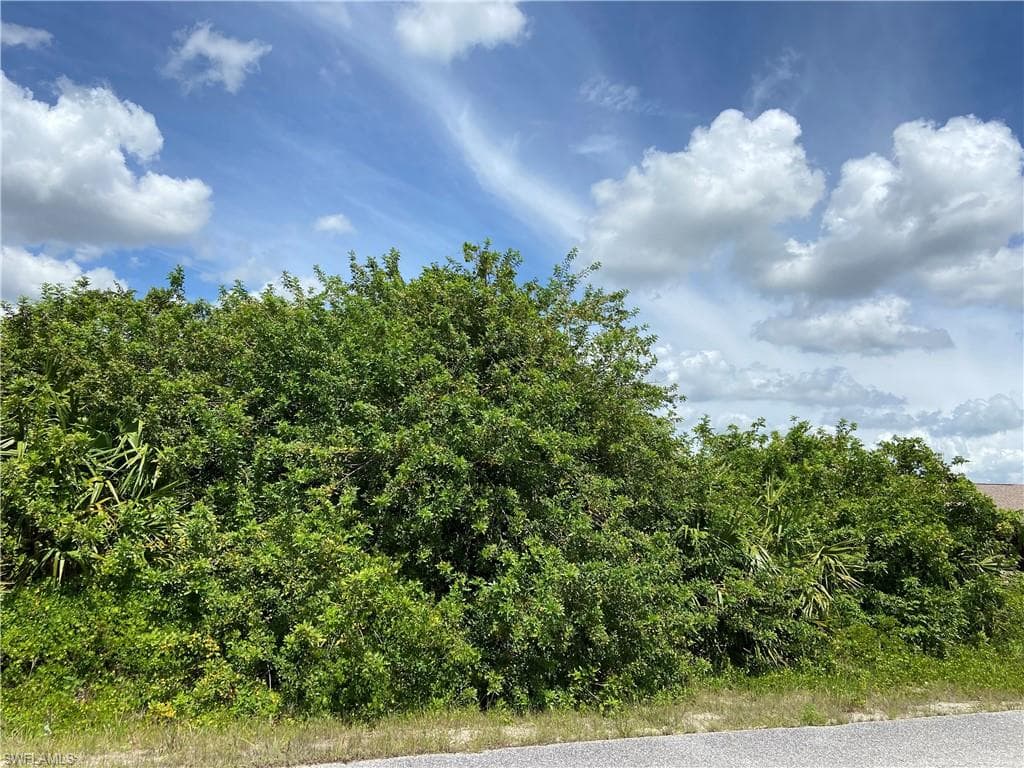 1209 Plumosa AVE LEHIGH ACRES, FL 33972