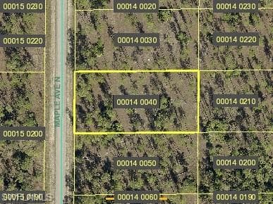 1316 Maple AVE N LEHIGH ACRES, FL 33972