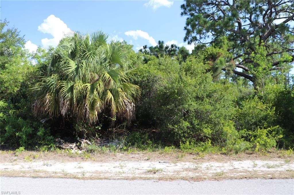 4244 E 24th ST ALVA, FL 33920