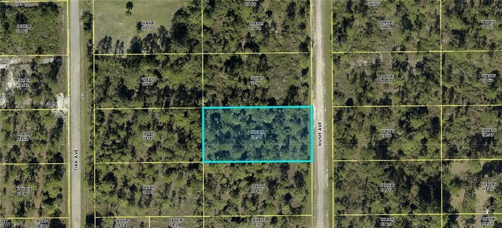 805 Rush AVE LEHIGH ACRES, FL 33972