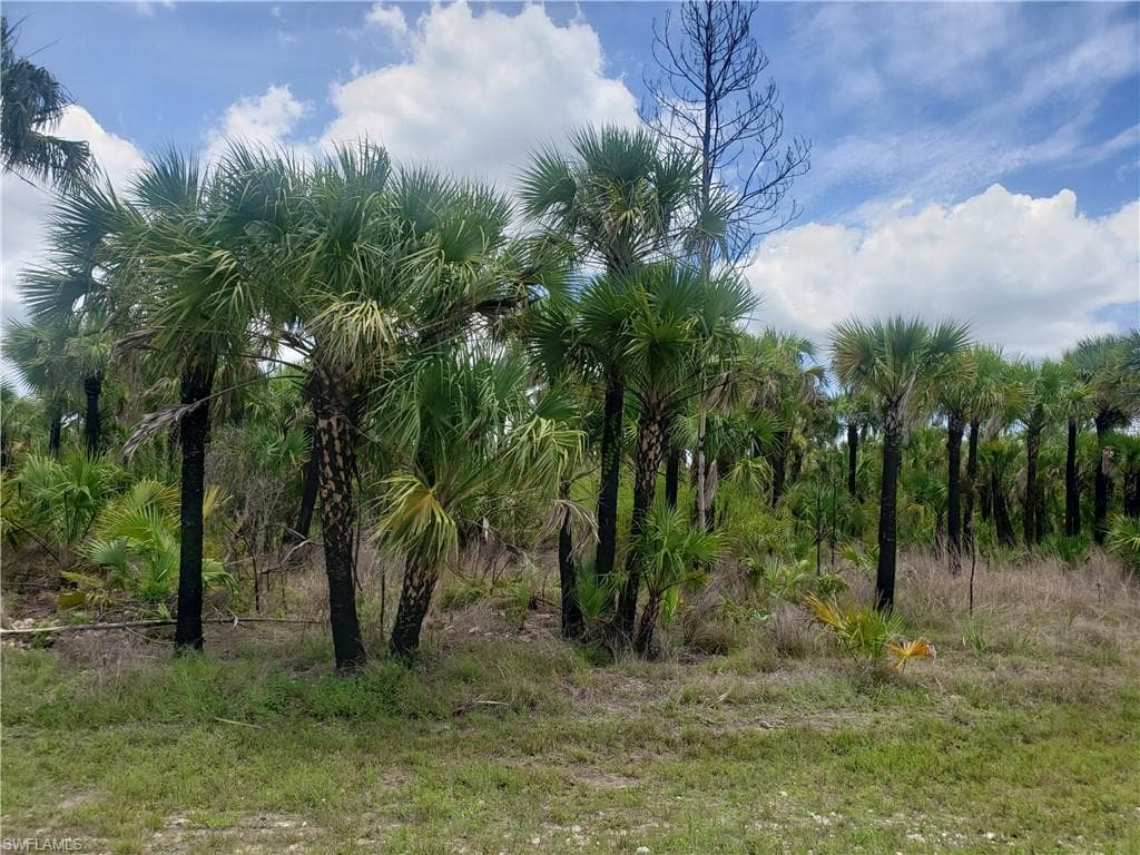 2885 36th AVE SE NAPLES, FL 34117