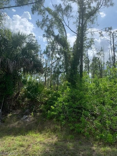 1319 Irving AVE LEHIGH ACRES, FL 33972
