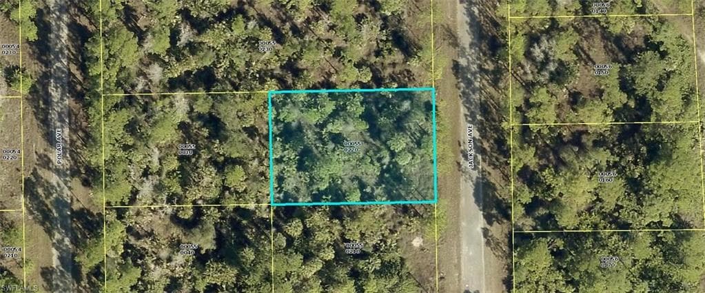 2119 Jackson AVE ALVA, FL 33920