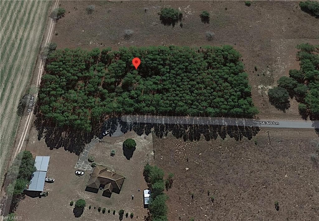 SE 60th LN MORRISTON, FL 32668