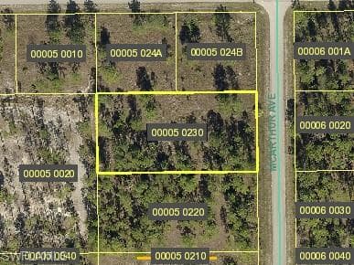 1223 Mcarthur AVE LEHIGH ACRES, FL 33972