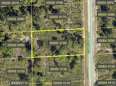 1607 Wagner AVE LEHIGH ACRES, FL 33972
