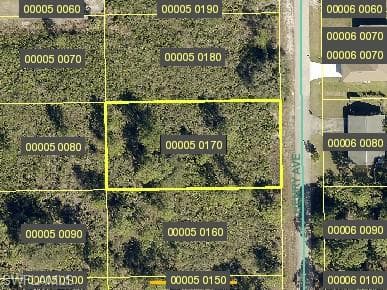 1609 Henry AVE LEHIGH ACRES, FL 33972