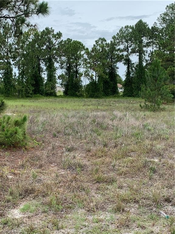 3100 Ruth AVE S LEHIGH ACRES, FL 33976