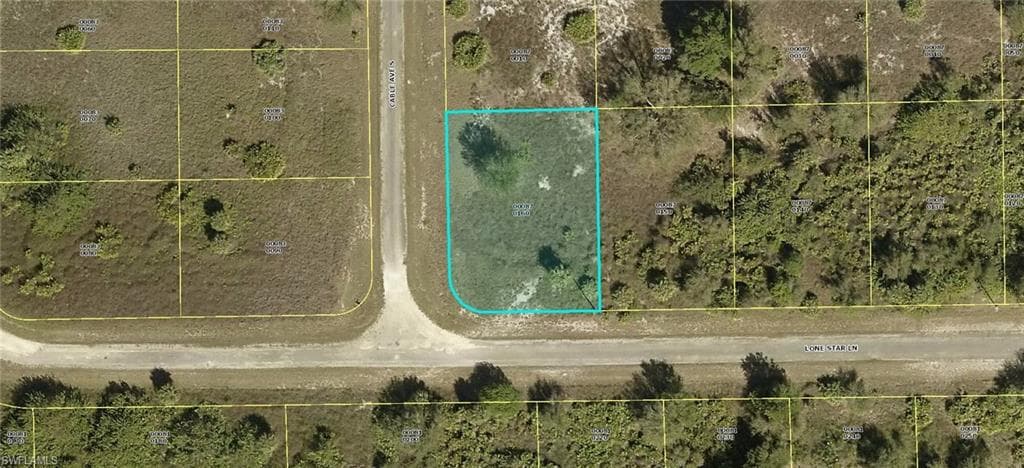 545 Lone Star LN LEHIGH ACRES, FL 33974