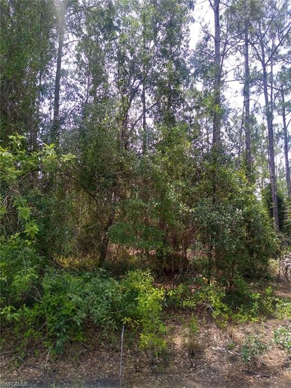 28149 Sunset DR PUNTA GORDA, FL 33955