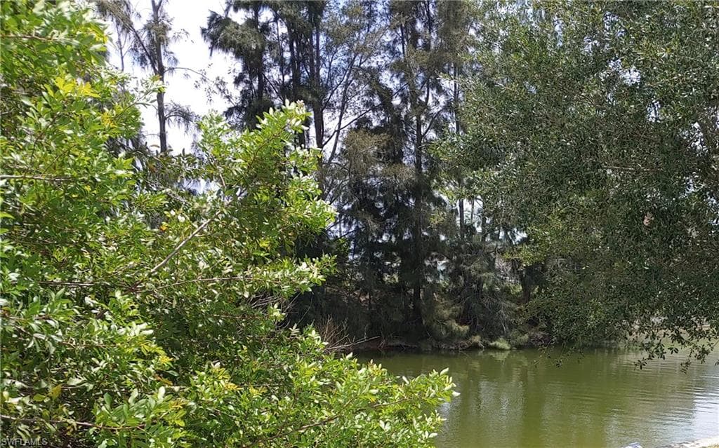 215 NE 17th TER CAPE CORAL, FL 33909