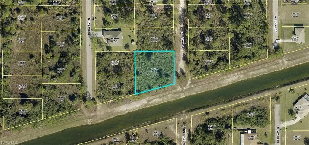 2911 Connie AVE N LEHIGH ACRES, FL 33971