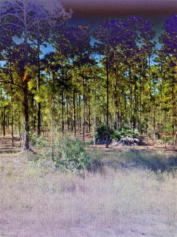 919 Wells AVE LEHIGH ACRES, FL 33972