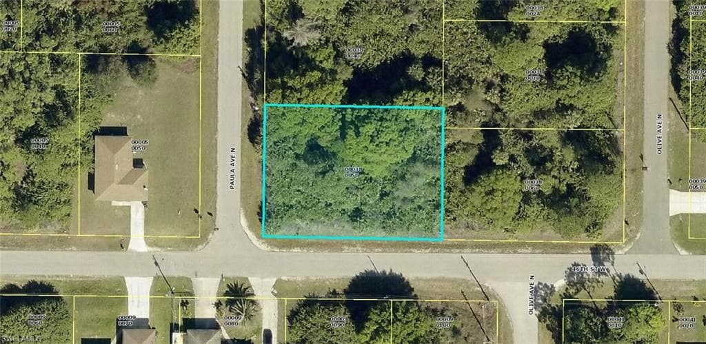 4600 Paula AVE N LEHIGH ACRES, FL 33971