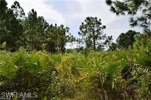 1121 State AVE LEHIGH ACRES, FL 33972
