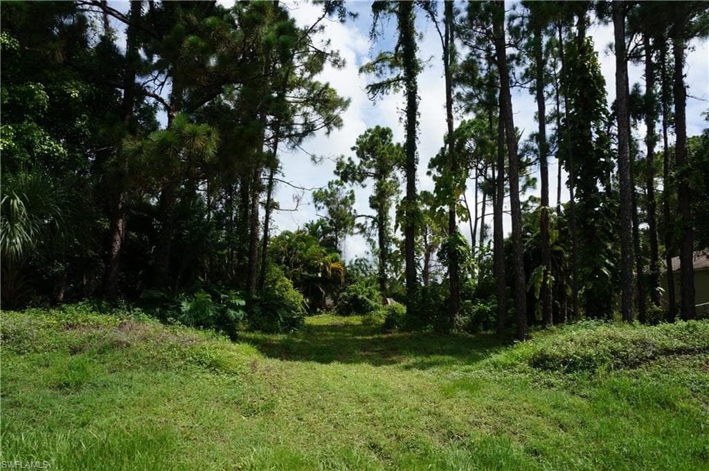 1101 NE 35th LN CAPE CORAL, FL 33909