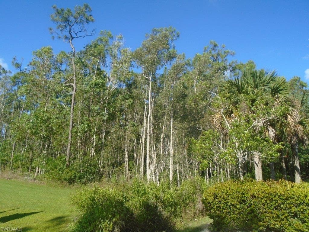 13550 Sophomore LN FORT MYERS, FL 33912