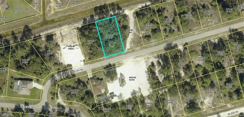 2520 Betty PL LEHIGH ACRES, FL 33971
