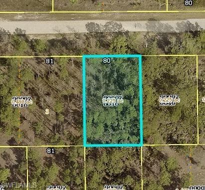 924 Bolivia DR LEHIGH ACRES, FL 33974