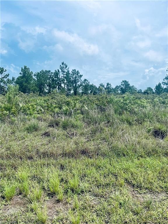 3703 E 5th ST LEHIGH ACRES, FL 33972