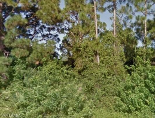 716 Bianca AVE S LEHIGH ACRES, FL 33974