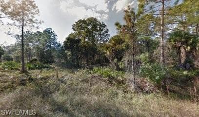 1303 Truman AVE LEHIGH ACRES, FL 33972